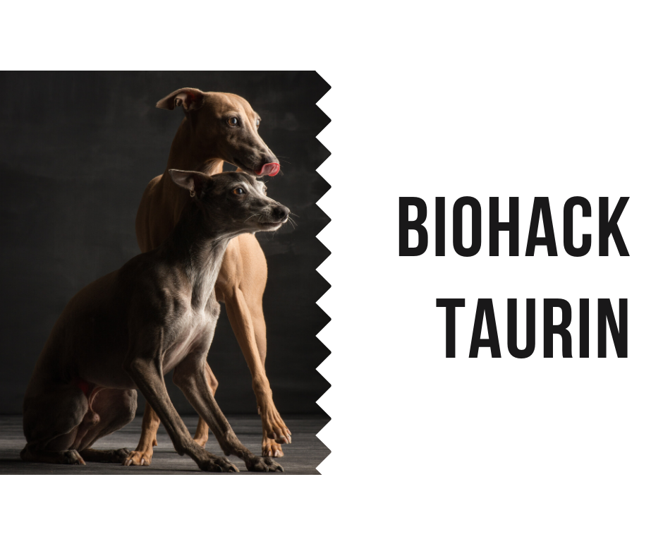 Biohack: Taurin