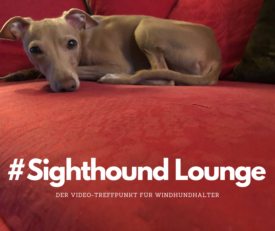 Video-Treffpunkt Sighthound Lounge
