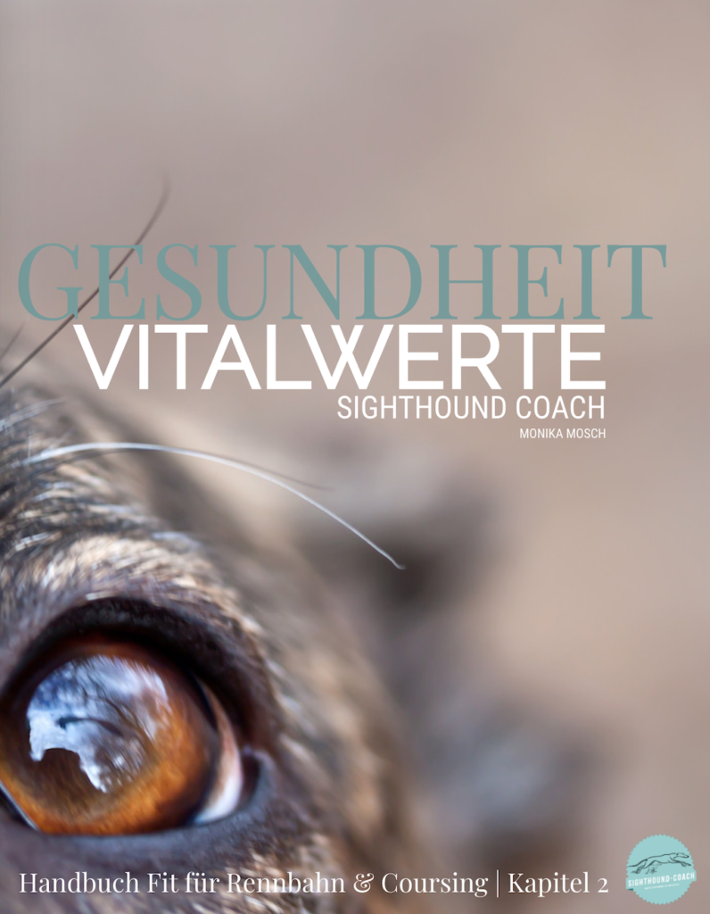 Gesundheitsthemen und Vitalwerte Windhund