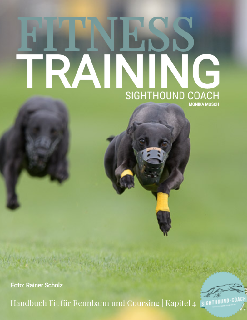 Kapitel 4 - Fitness und Training Hundesport
