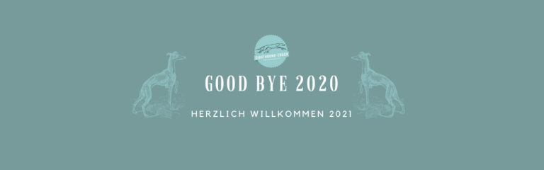 good bye 2020 - willkommen 2021