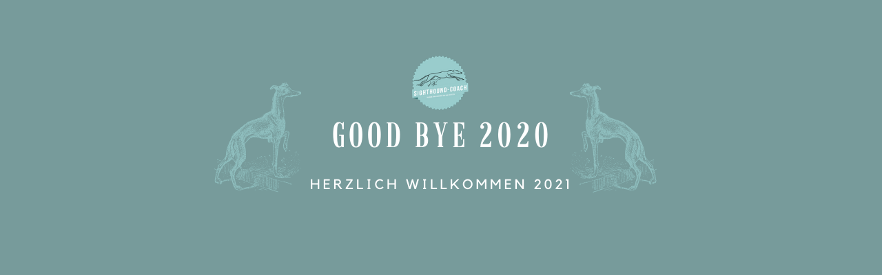 good bye 2020 - willkommen 2021