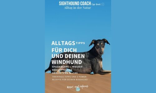 Sighthound Coach Flip Book Nummer 1 wertvolle Tips für den Freilauf und Beschäftigung