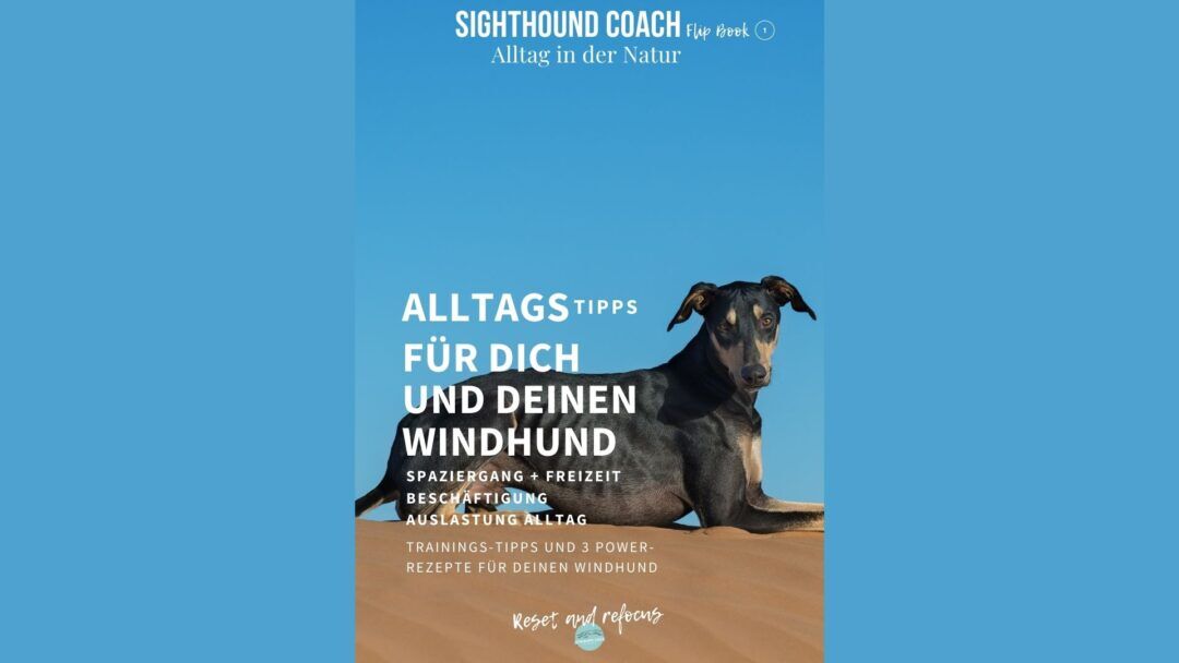 Sighthound Coach Flip Book Nummer 1 wertvolle Tips für den Freilauf und Beschäftigung