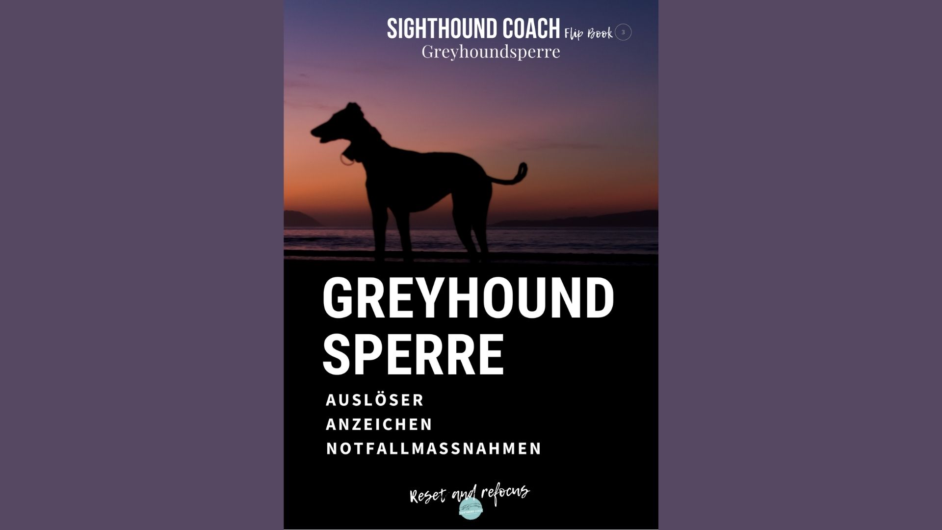 Sighthound-Coach Flip Book #3 Greyhoundsperre
