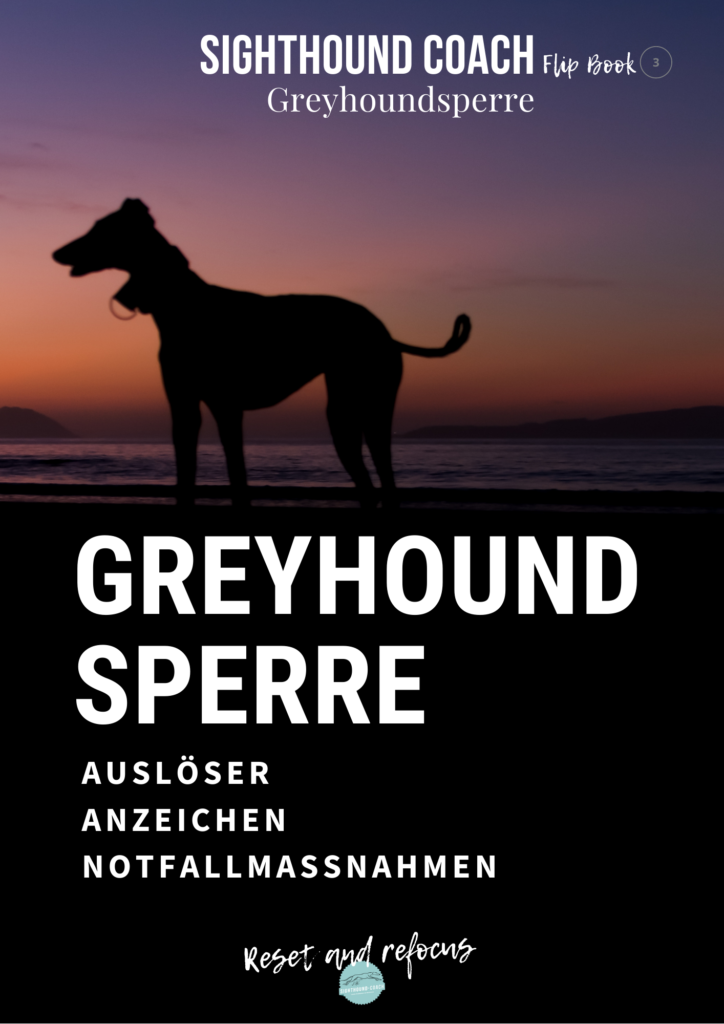 Sighthound Coach Flip Book # 3