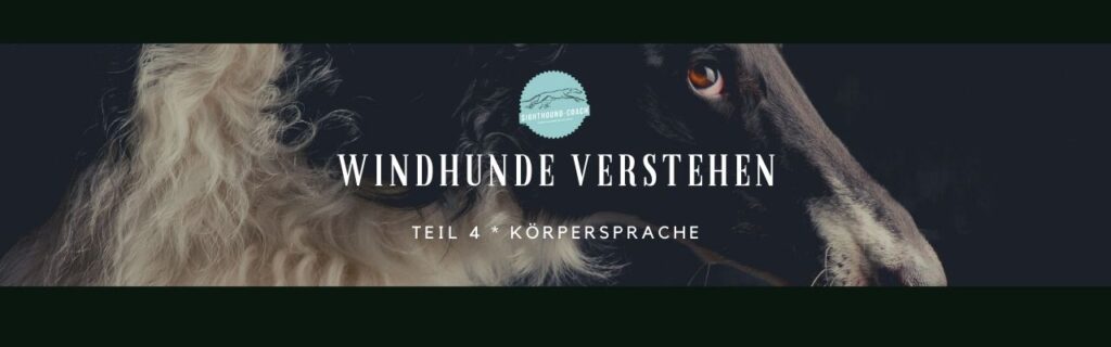 Windhunde verstehen Teil 4