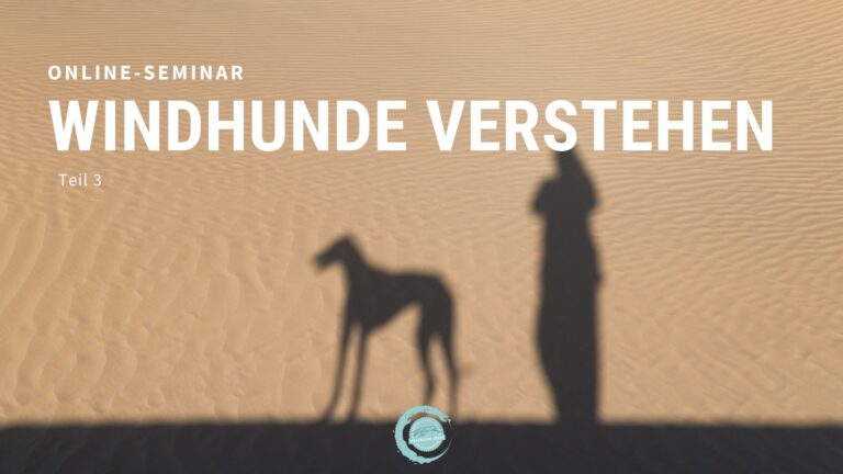 Windhunde verstehen Teil 3