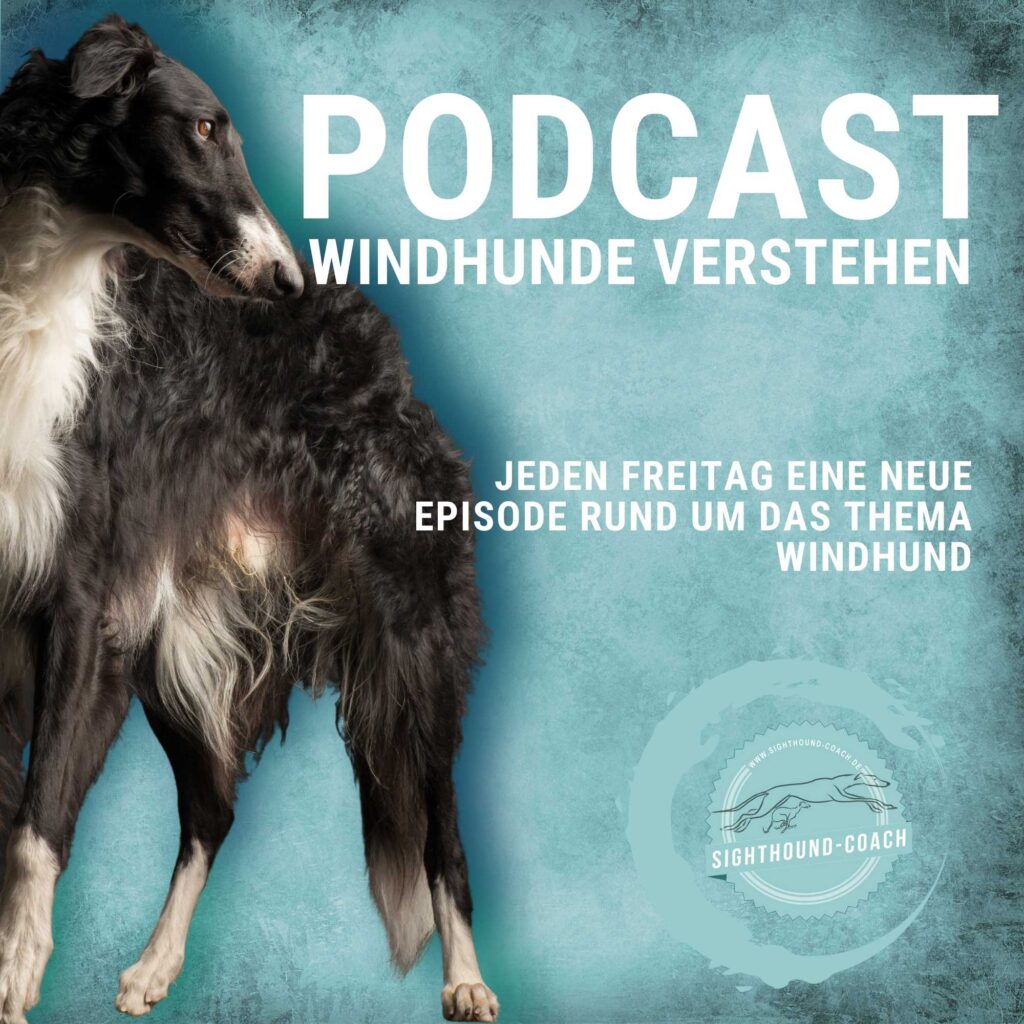 Der Podcast Windhunde verstehen von und mit Monika Mosch