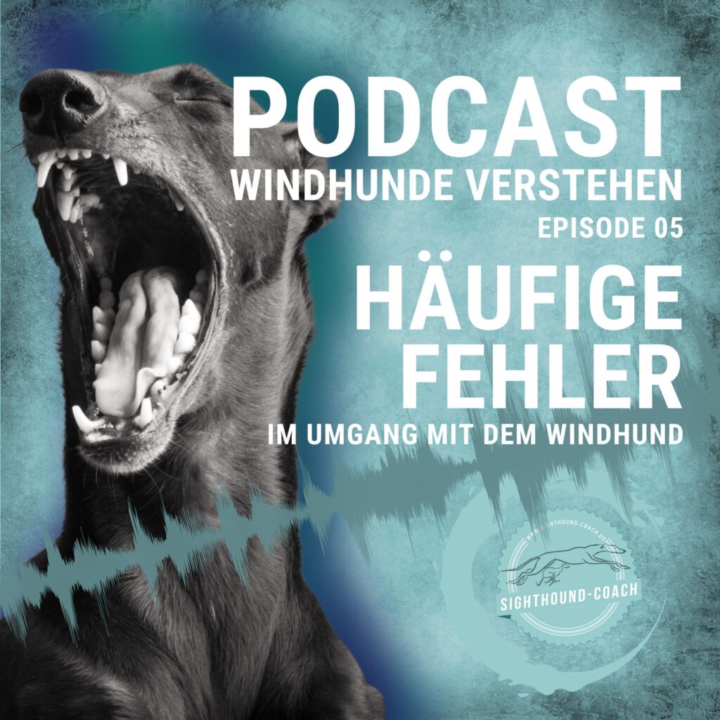 Windhunde verstehen Podcast Episode 5