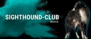 Sighthound-Club Basic Abonnement