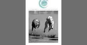 Windhunde sind Jagdhunde. In diesem Flip Book findest Du alles was Du als Windhundhalter wissen solltest.