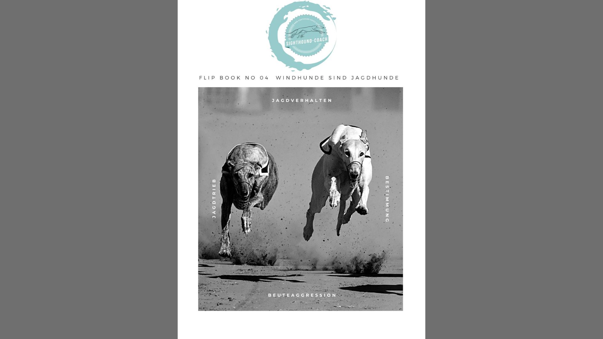 Windhunde sind Jagdhunde. In diesem Flip Book findest Du alles was Du als Windhundhalter wissen solltest.
