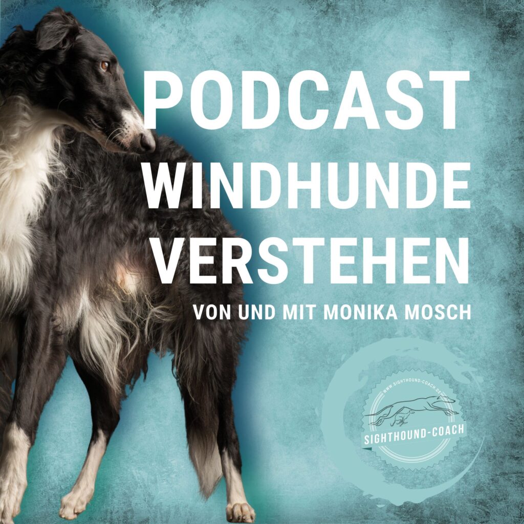 Windhundpodcast "Windhunde verstehen" von Sighthound Coach mit Monika Mosch.