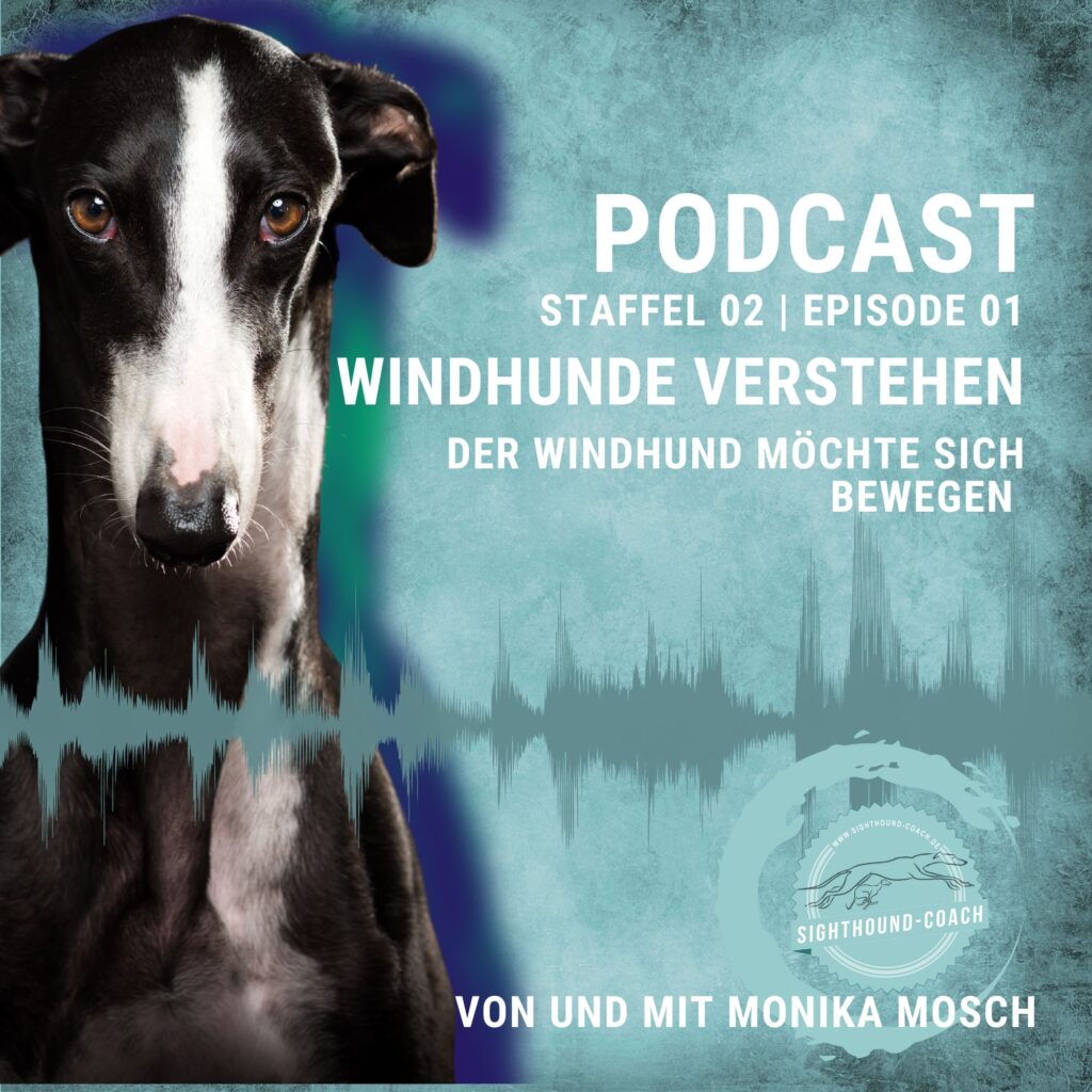 Windhunde verstehen, Stafel 02 - Episode 01