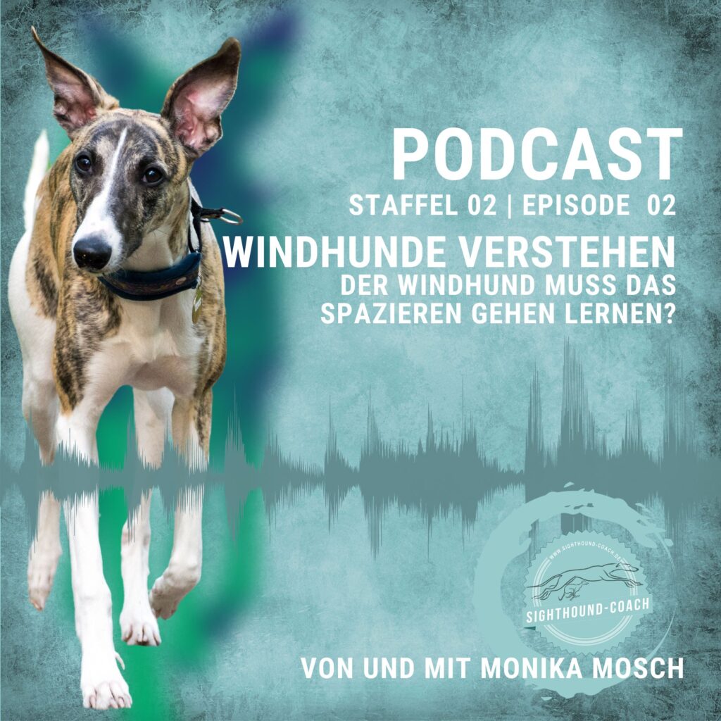 Windhundpodcast. Windhunde verstehen, Episode 02