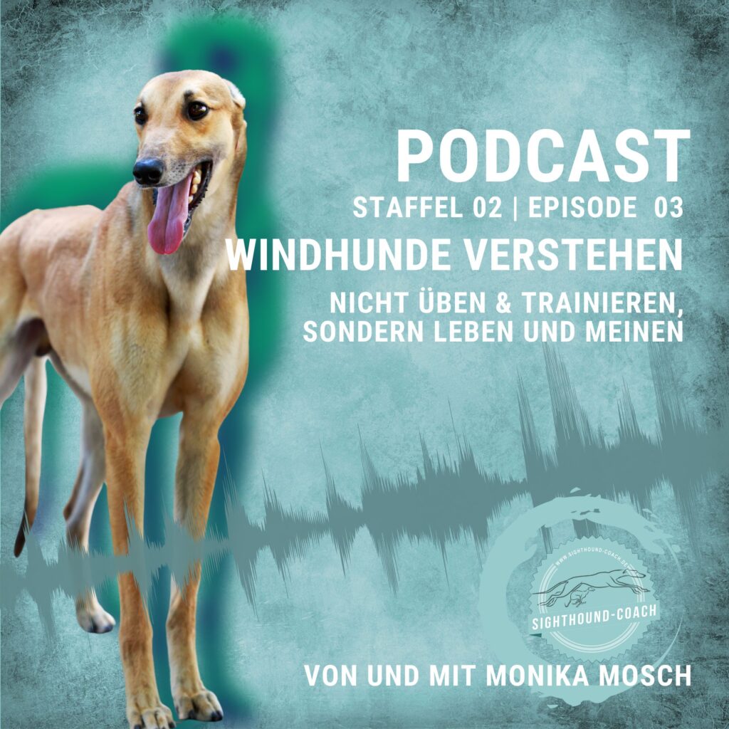 Windhundpodcast Episode 03