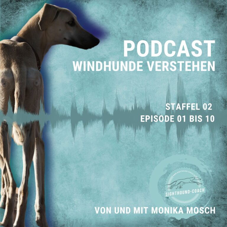 Windhundpodcast "Windhunde verstehen" Staffel 02