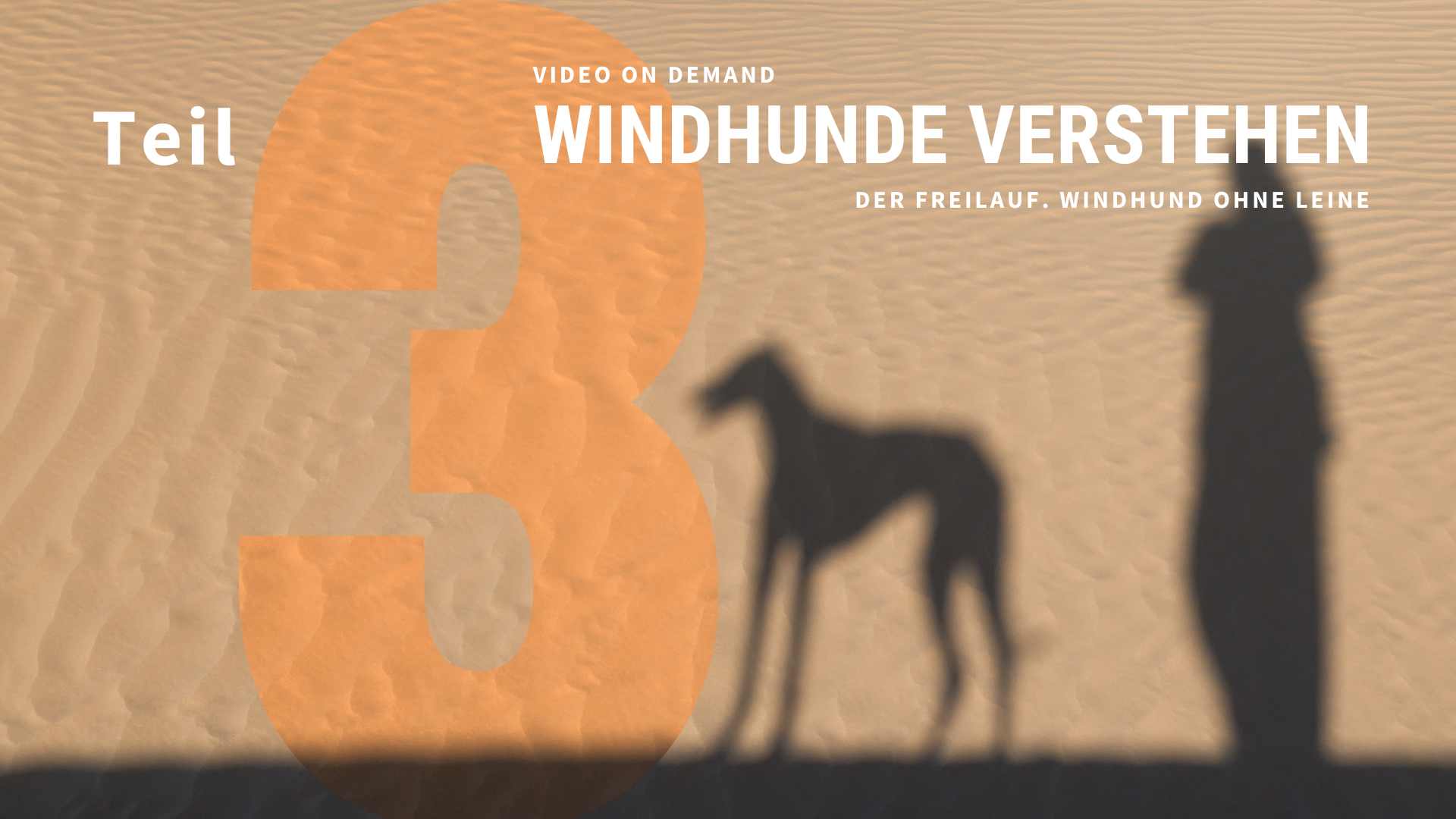 Windhunde verstehen Teil 3 - VOD 2023