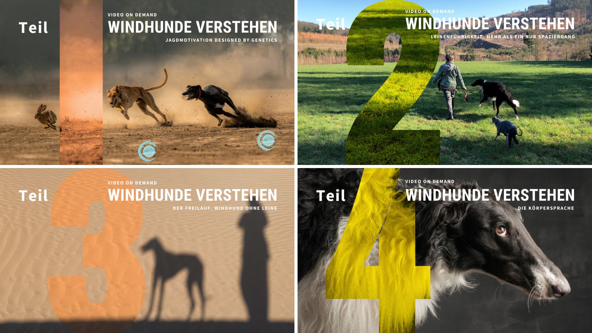 Windhunde verstehen Teil 1-4. Learning on Demand