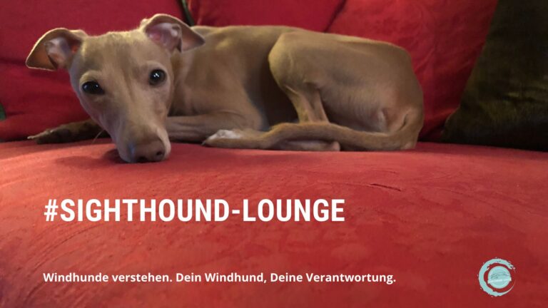 ZOOM-Treffpunkt Sighthound Lounge