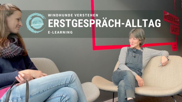 E-Learning Ersttermin "Alltag"