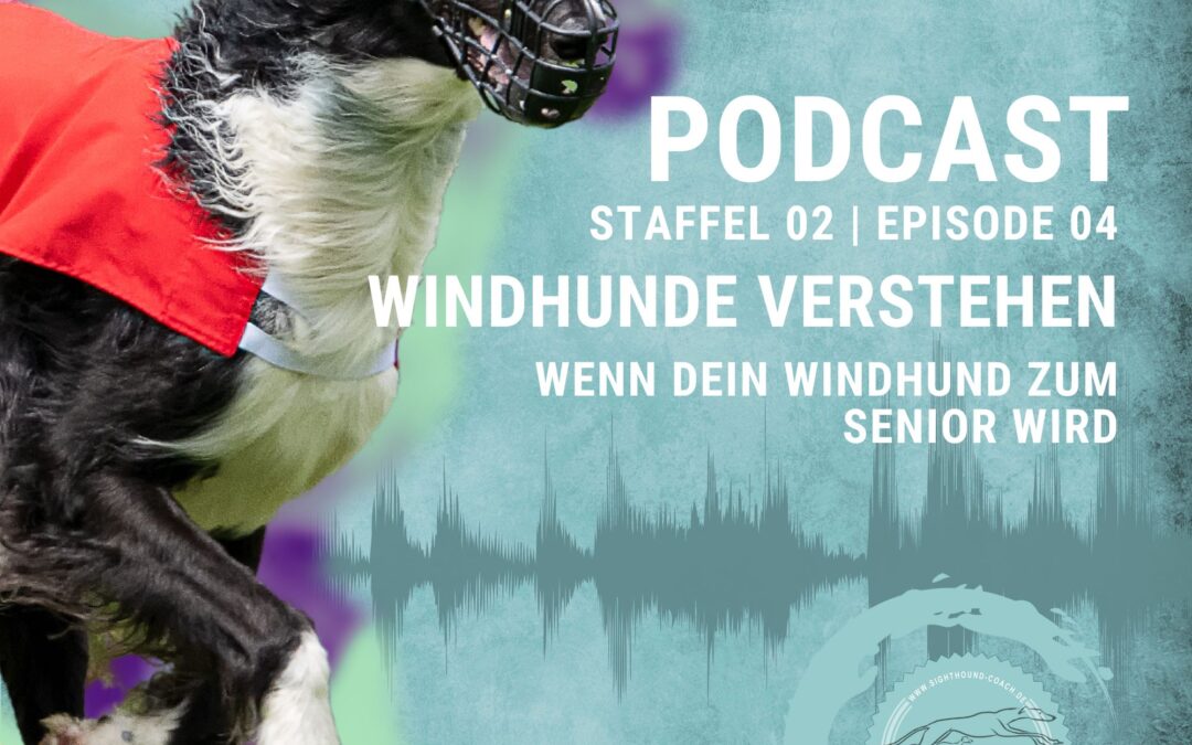 Windhundpodcast Staffel 02 – Episode 04